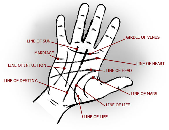 What Do the Lines on Your Palm Mean?