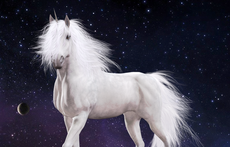 Unicorn The Angelic Horse