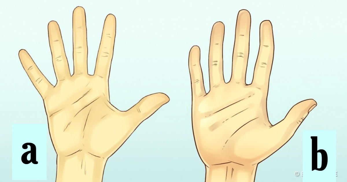 Test Your Hand Size Says A Lot About Your Personality