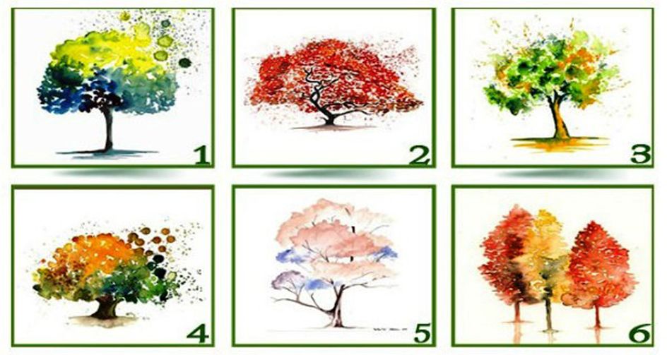 The Tree Test - Select A Tree And Discover Your True Personality