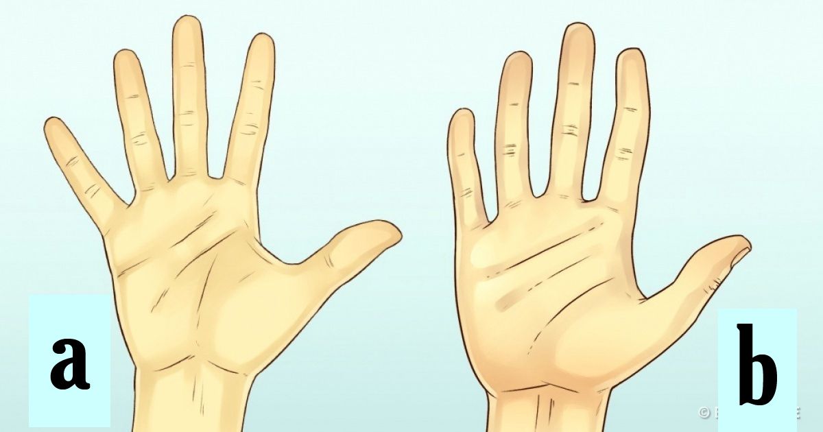 Test: Your Hand Size Says A Lot About Your Personality