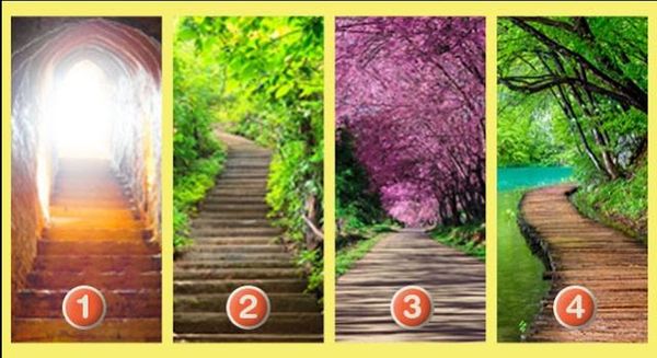 What's Your Life Path? The Path You're Drawn To Tells Your Personality