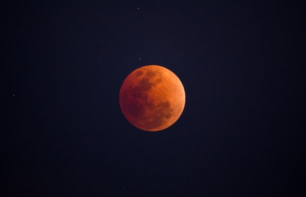The Super Wolf Blood Moon Is Coming