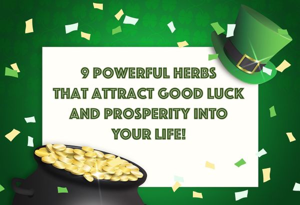 9 Powerful Herbs That Attract Good Fortune & Prosperity