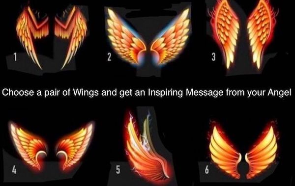 Let Your Angel Guide You: Choose Your Wings for Life Guidance